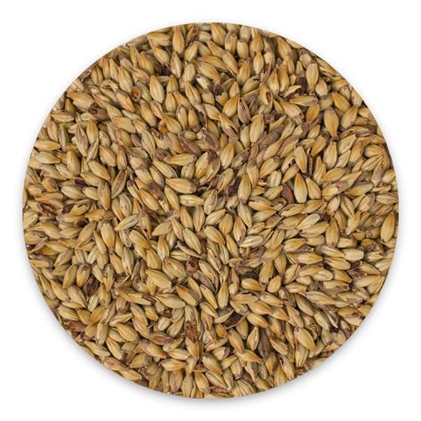 aromatic malt